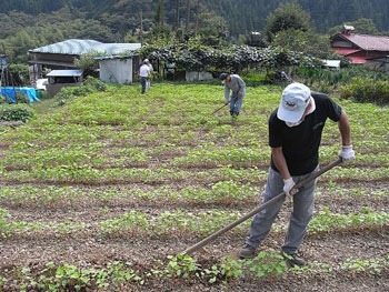 作上げのコツは腰なり