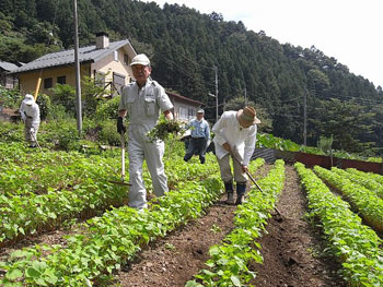 ヘタ虫はヘタから侵入