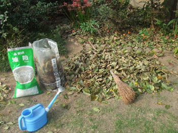 ヘタ虫被害その後