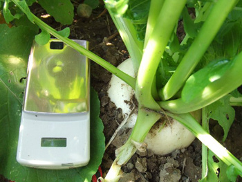 携帯よりも大きく