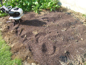 土もフカフカに