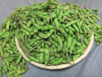 枝豆