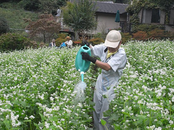 こっちの畑はあ～まいぞ～