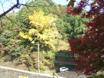 紅葉のはじまり