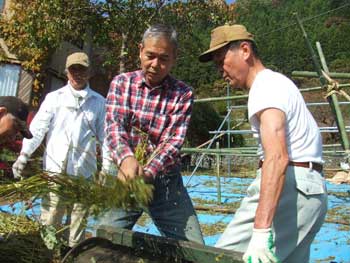 脱穀は重労働