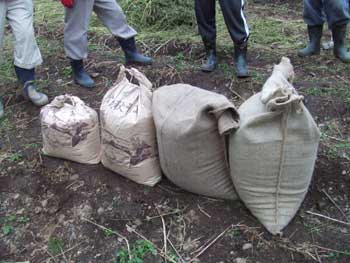 檜原村でも減収