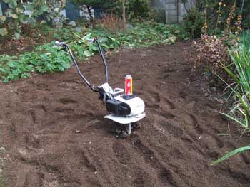 僅か１５分のお遊び