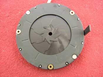 ナマケモノの動き