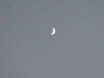 下弦の月が輝きを増すころ