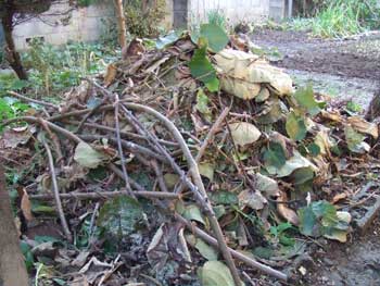 枝を切り刻みました小山