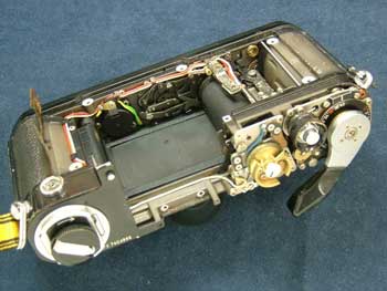 切腹しかありません