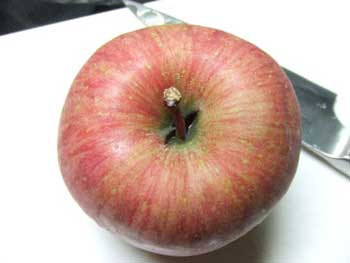 身割れのフジを使用