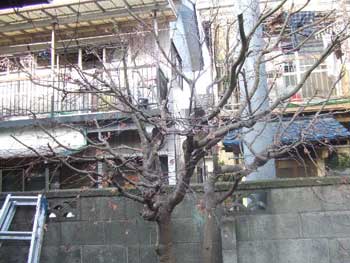 可成りサッパリ