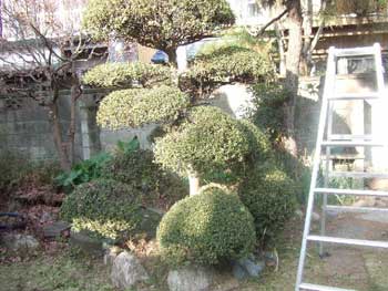 あっという間に終わります