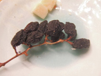 パルミジャーノレジャーノ