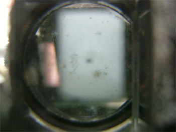 ファインダーに蜘蛛の巣