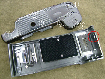 裏蓋の爪は健在