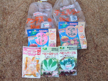 フランスの馬鈴薯