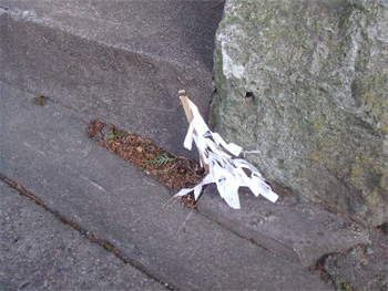 みそかっぱらい