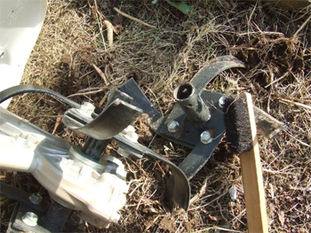 ピアンタを掃除