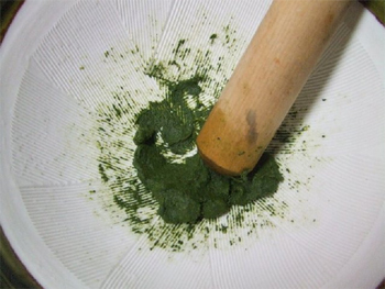 分けた葉を蒸しまして擂り鉢でする