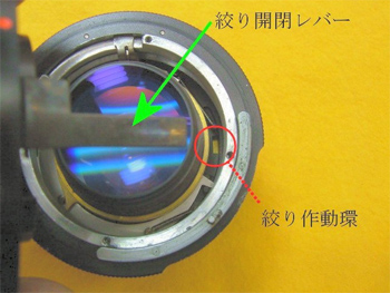 むすんでひらいて