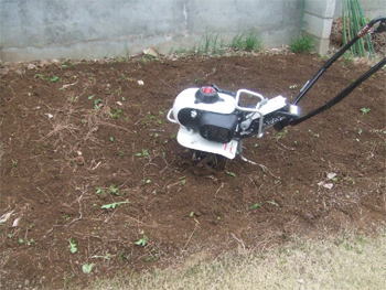 ＨＯＮＤＡピアンタ