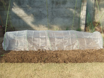 虫除けネットと支柱