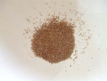 擂り鉢で軽く当てます