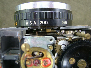 元気に動き出しました