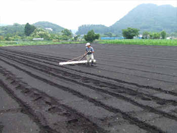 津久井在来大豆