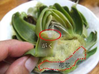 アーティーチョーク