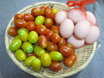 ミニトマトと卵