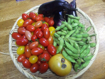 ナスとミニトマト