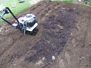 遊んじゃいました