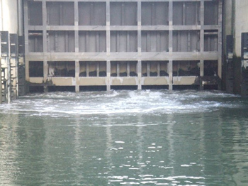 水が入れられます