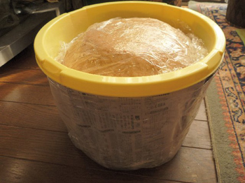 光が入らないよう