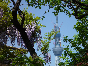 東京スカイツリー