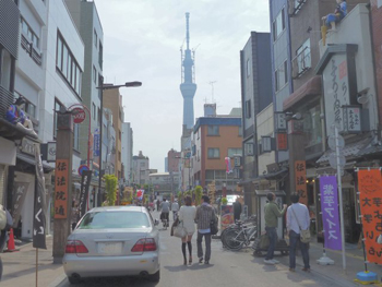 スカイツリーを望む