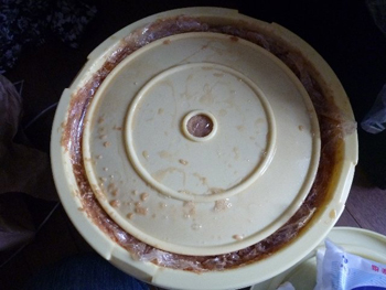 味噌の麹も目を覚ました