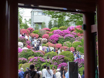 唐門から望むつつじ山