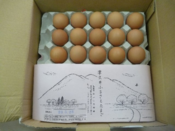 新鮮な卵