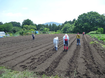 一粒毎に足下に