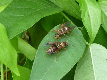 そっとしておきました