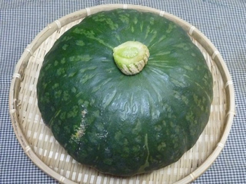 大きな南瓜