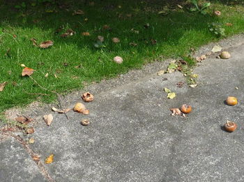 被害が止まりません