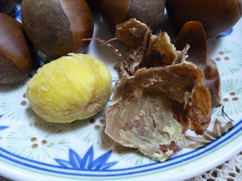 ポロッと剥けました