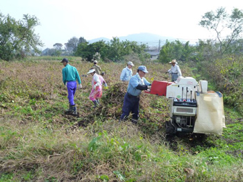 大地と切り離します