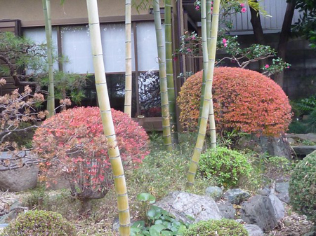 秋には訪れたい