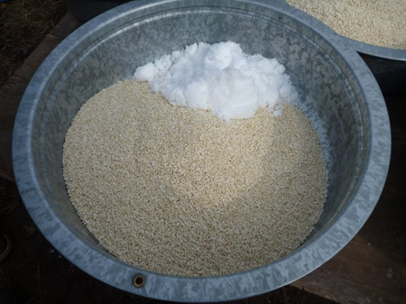 麹５Kgと塩１Kg